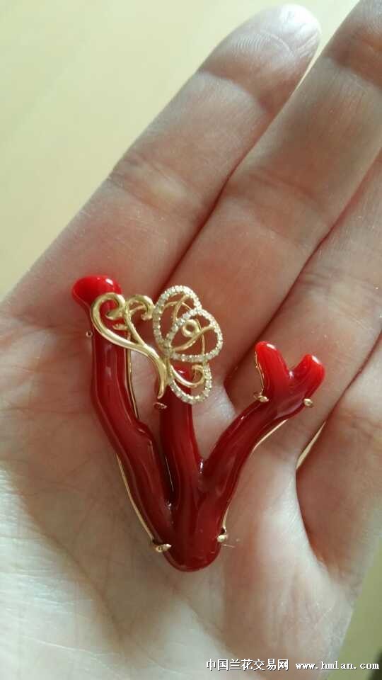 日本阿卡红珊瑚枝子镶嵌欣赏蝶舞