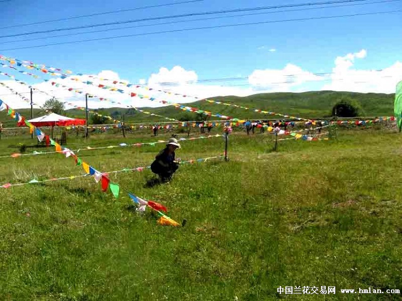 音乐视频《西北旅游缩写》(故乡恋-吕继宏)-旅