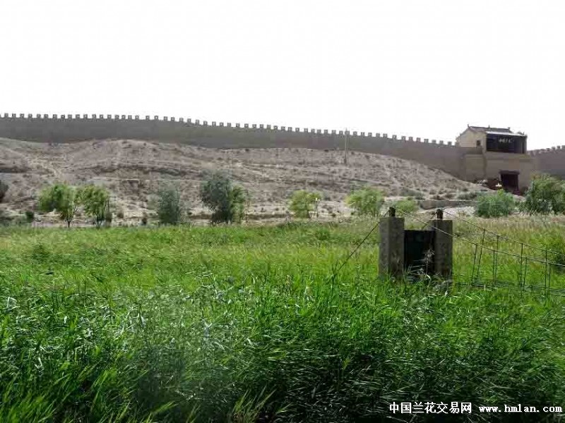 音乐视频《西北旅游缩写》(故乡恋-吕继宏)-旅