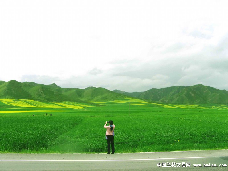 音乐视频《西北旅游缩写》(故乡恋-吕继宏)-旅