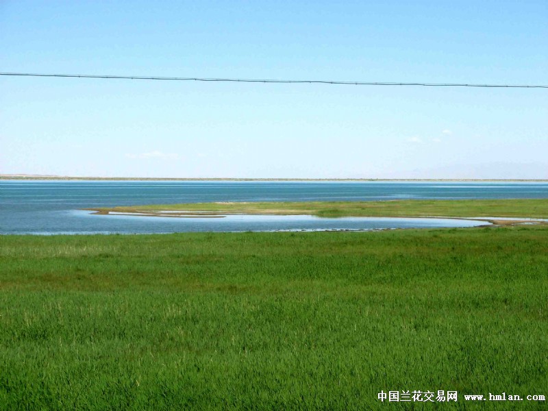 音乐视频《西北旅游缩写》(故乡恋-吕继宏)-旅