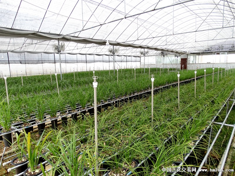 忙碌充实的生活励志