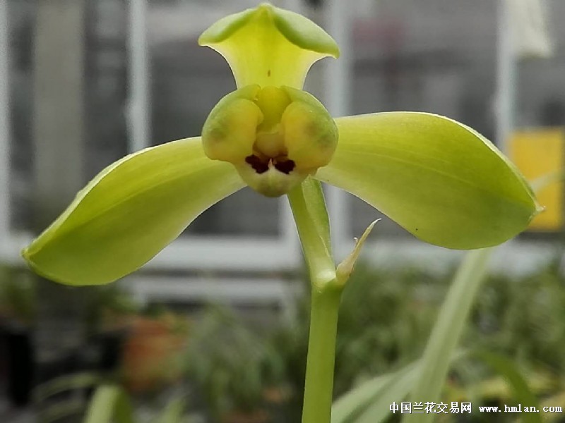 被伤过的心还可以爱谁一波三折.终于引回老上