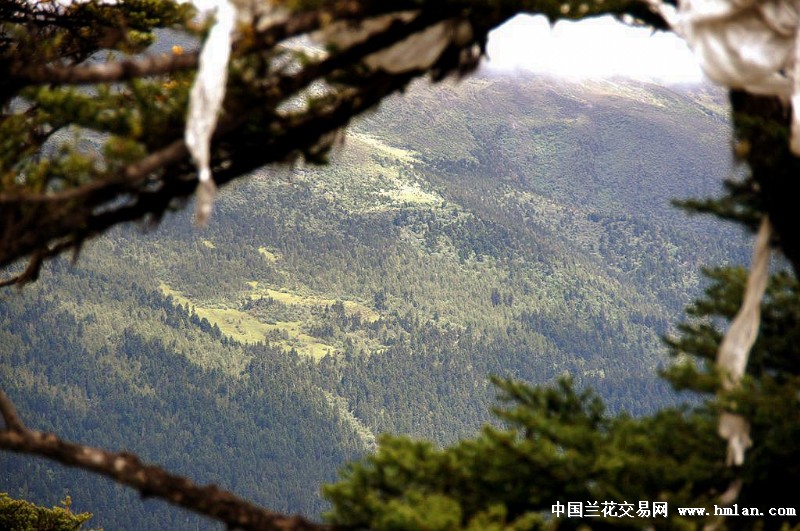 点击图片在新窗口浏览原图