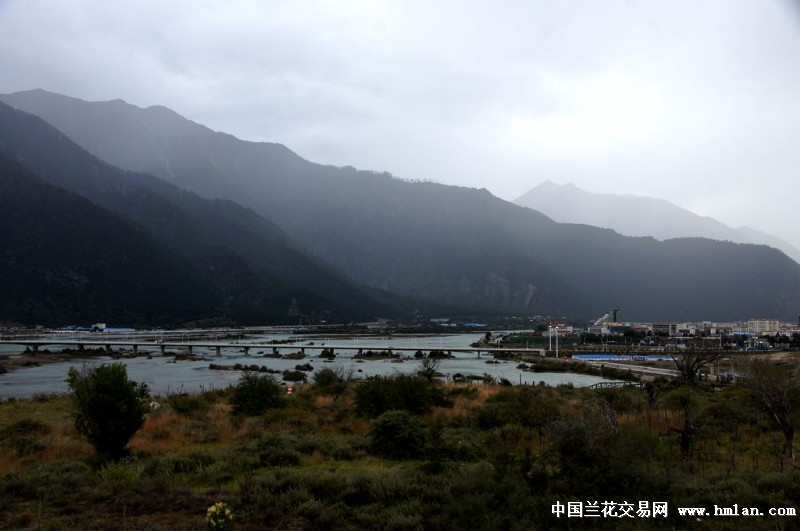 点击图片在新窗口浏览原图