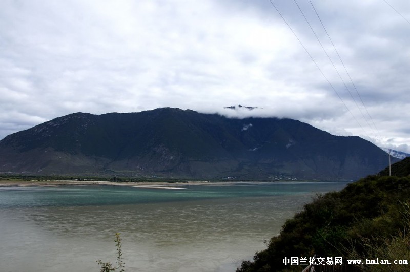 点击图片在新窗口浏览原图