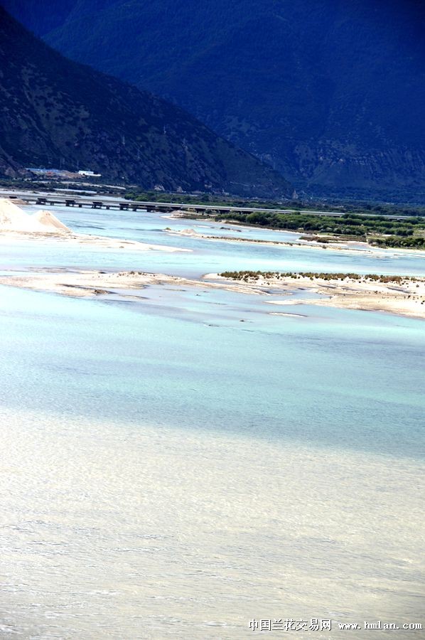点击图片在新窗口浏览原图