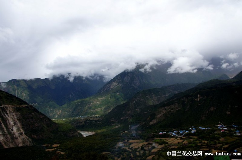 点击图片在新窗口浏览原图