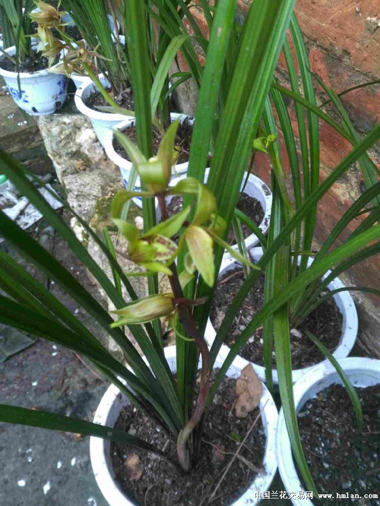 请教各位老师机