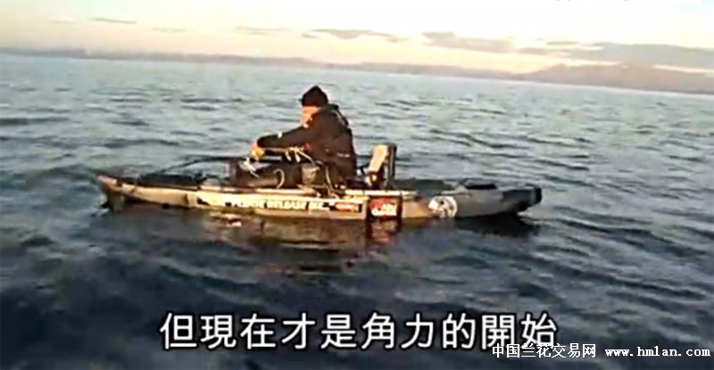 瑞典渔夫一支钓竿拉起565公斤巨鲨