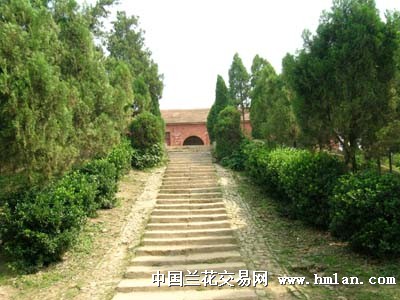 老家汝南梁祝