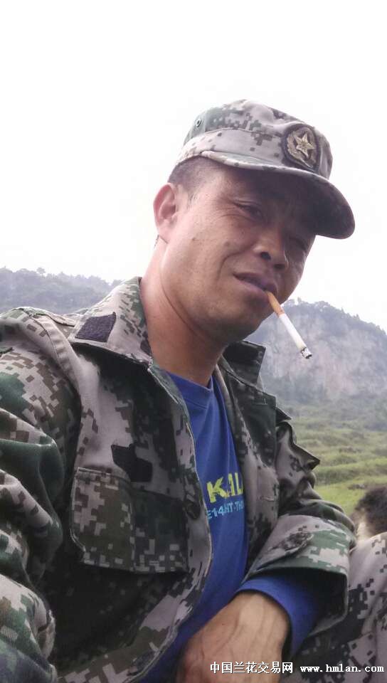 别吵吵了!干脆来打击我吧!-蕙兰篇-中国兰花交