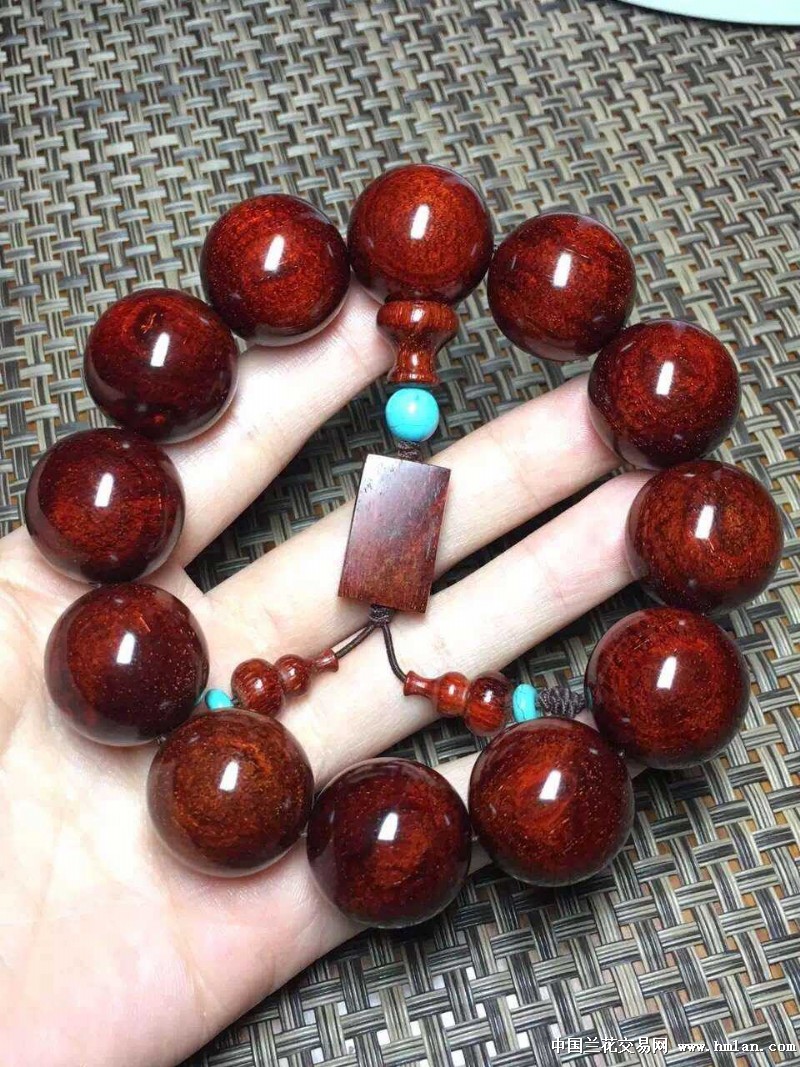 五位数的舒俱来-奇石论坛-中国兰花交易网社区