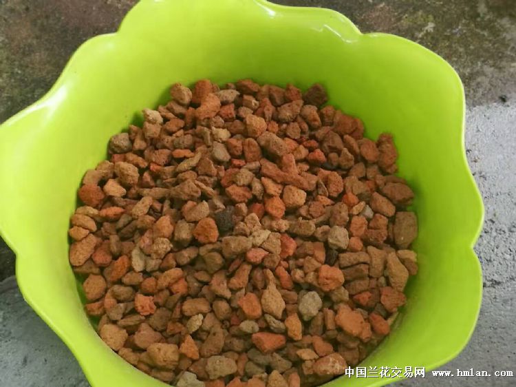硅藻砖(硅藻泥)-植料篇-中国兰花交易网社区