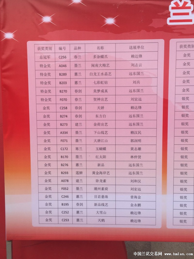 我园红香妃缟草--七彩红钻收获特金-叶艺篇-中