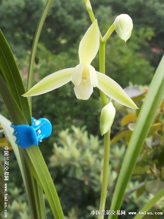 亲爱的。我该用什么语言赞美你?-心情故事-中